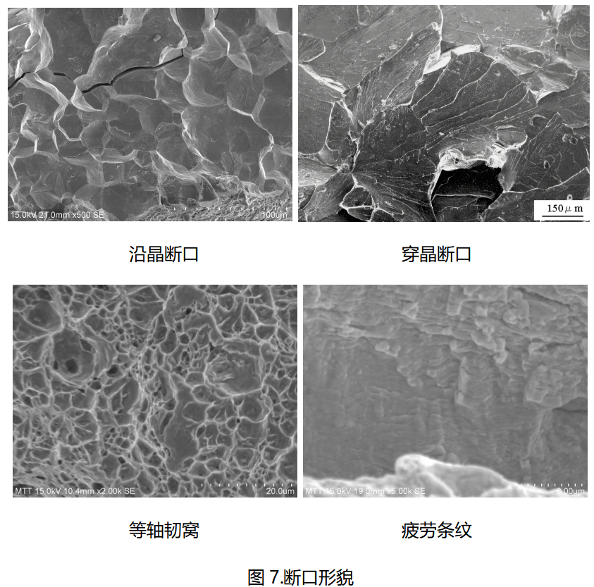 /ueditor/image/20250627/1750988730291560/9ccf90566544ac5ed94ef01fbdca15da.png 伟德体育世界杯断口形貌对比分析:沿晶断口、穿晶断口、韧窝与疲劳条纹SEM显微图